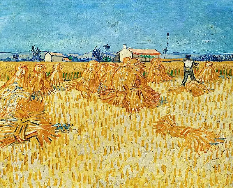 Ernte in der Provénce van Gogh